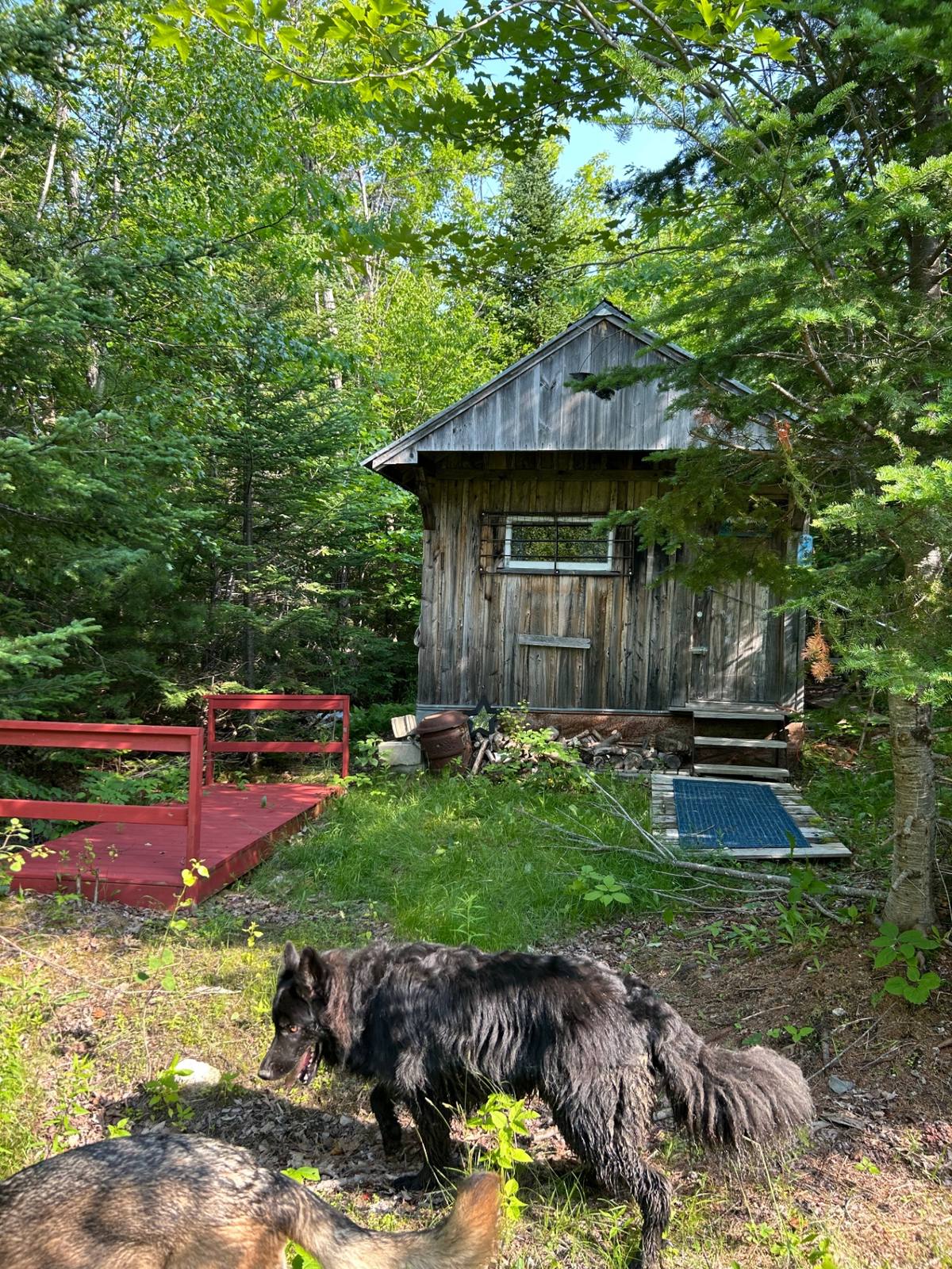 Wooded trail and outbuildings on the Maine wilderness property